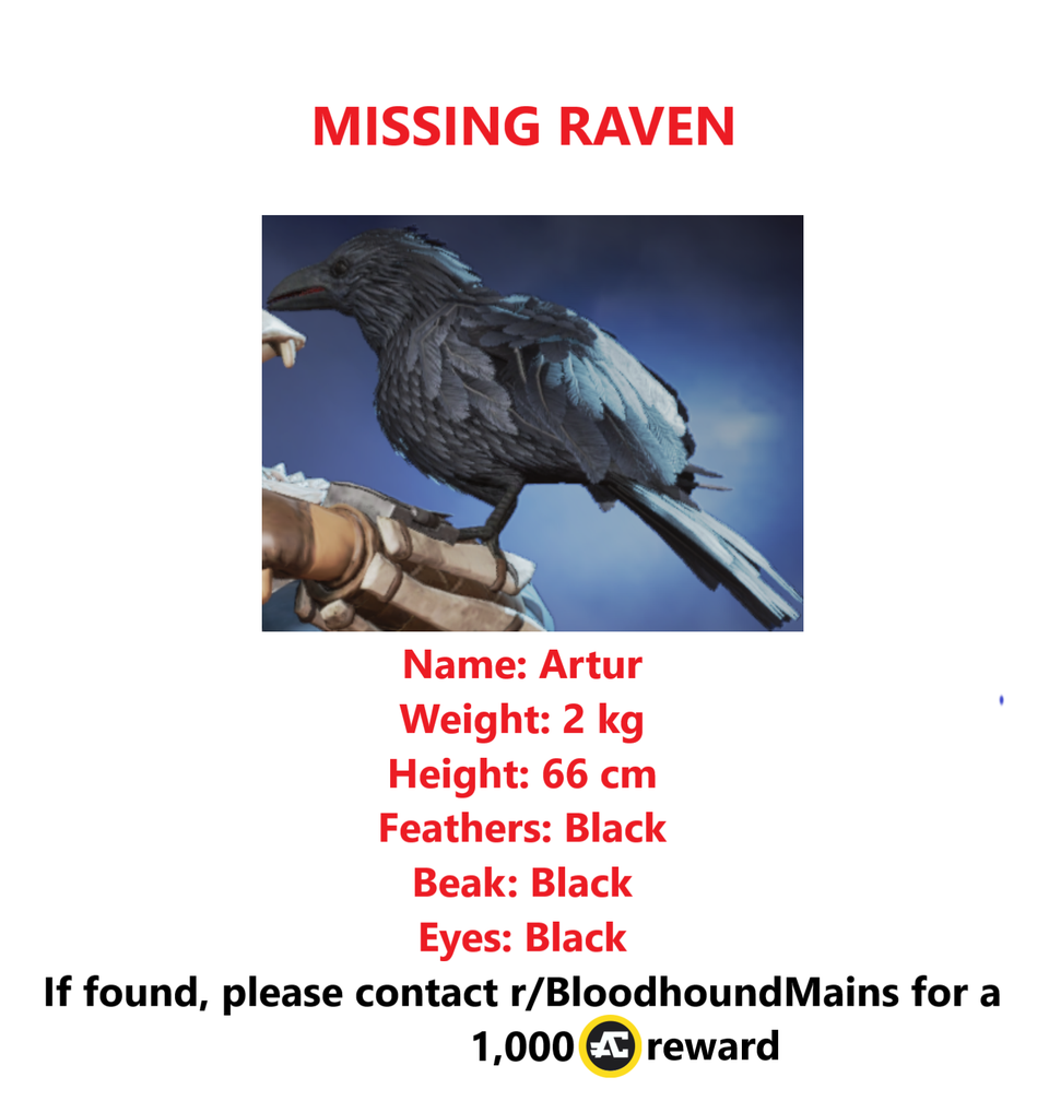 Greetings my fellow reconnaissance experts. We require your help. Our  beloved raven, Artur, has gone missing and we can't find him! If you have  any information on his whereabouts please inform us