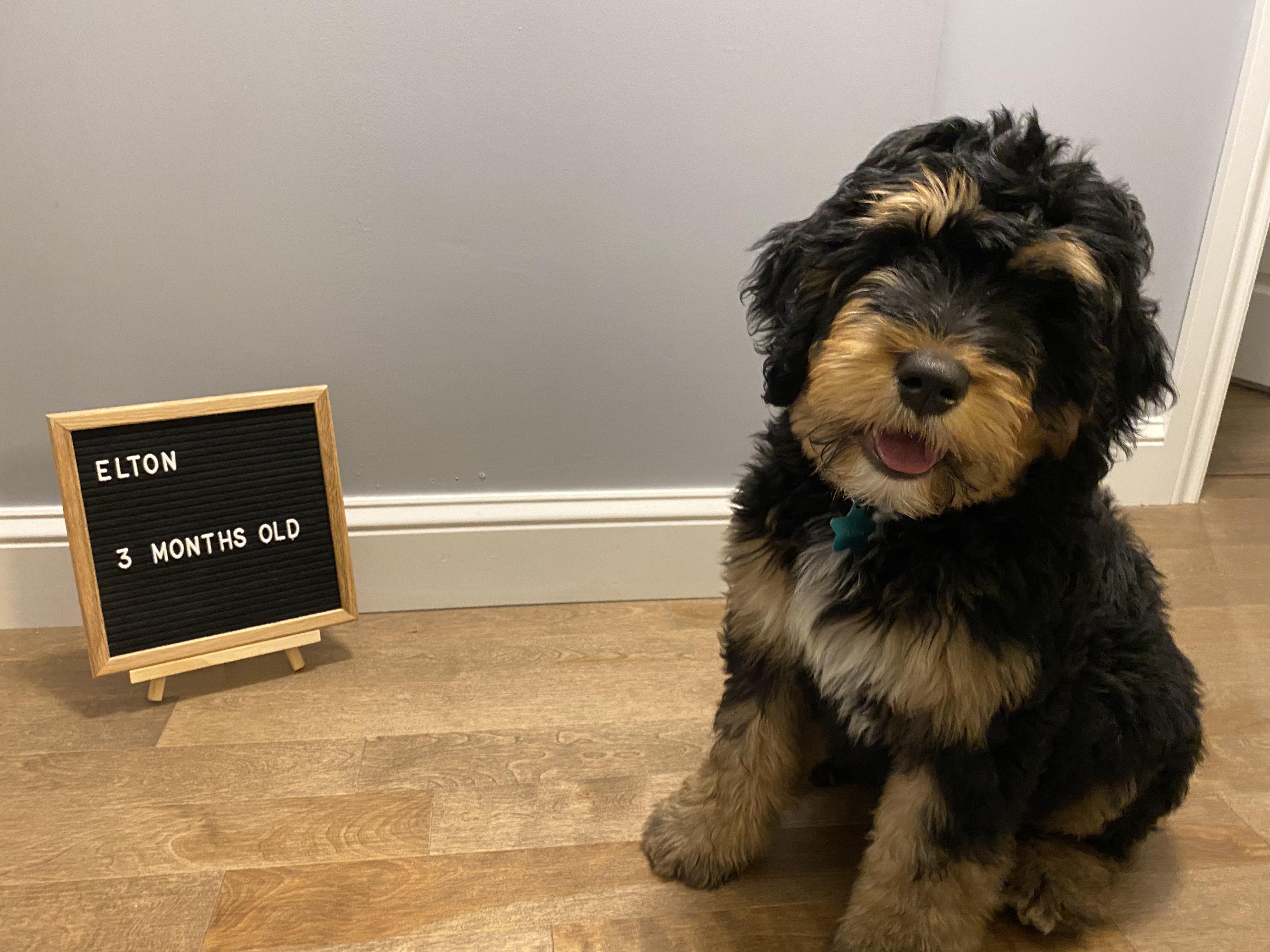 Growing into a handsome dood. | Scrolller