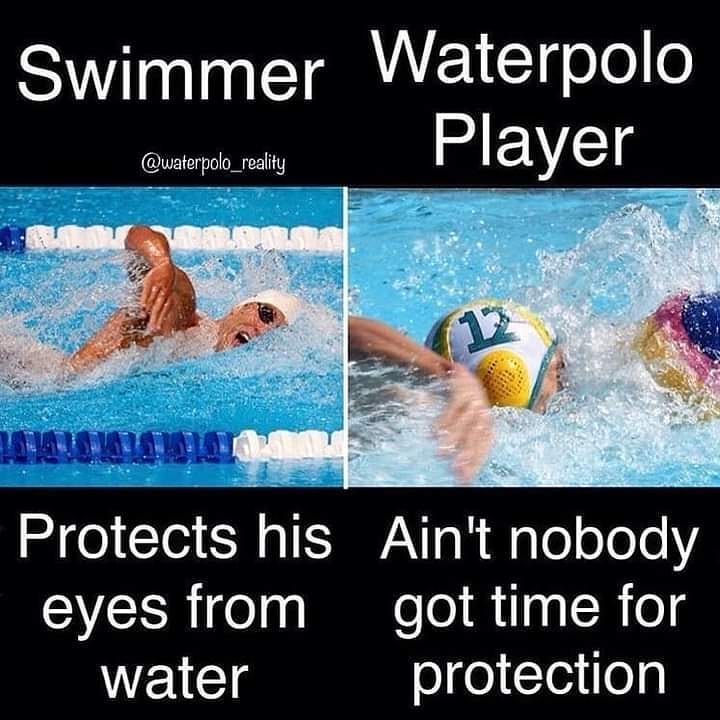SwimmingMemes | Pictures | Scrolller